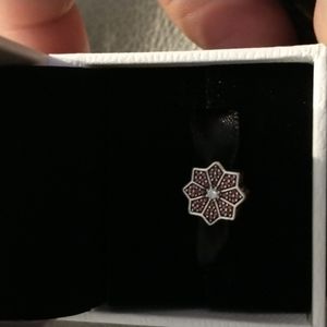 Christmas 🎄 Pandora  charm